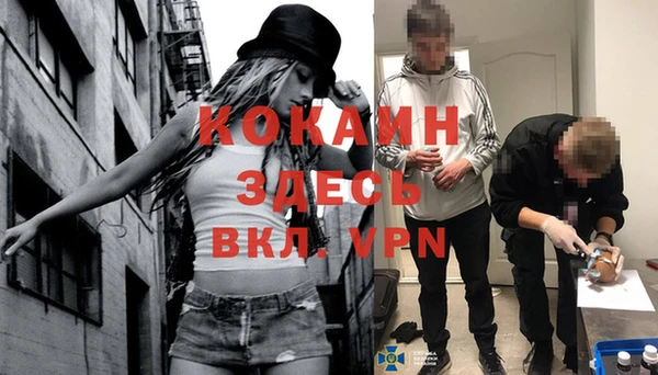 соль ск Верхний Тагил