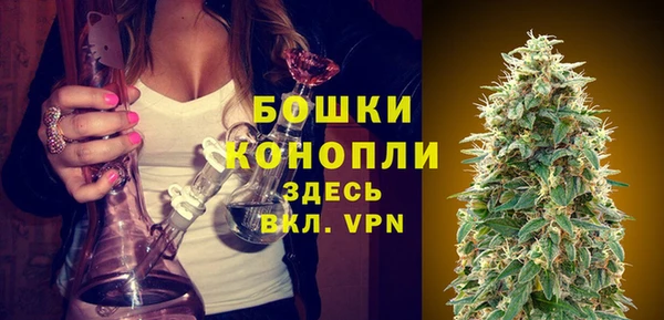 соль ск Верхний Тагил