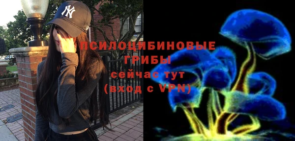spice Верея